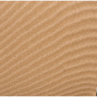 Madagaskar SILVER BO 053 světle hnědá